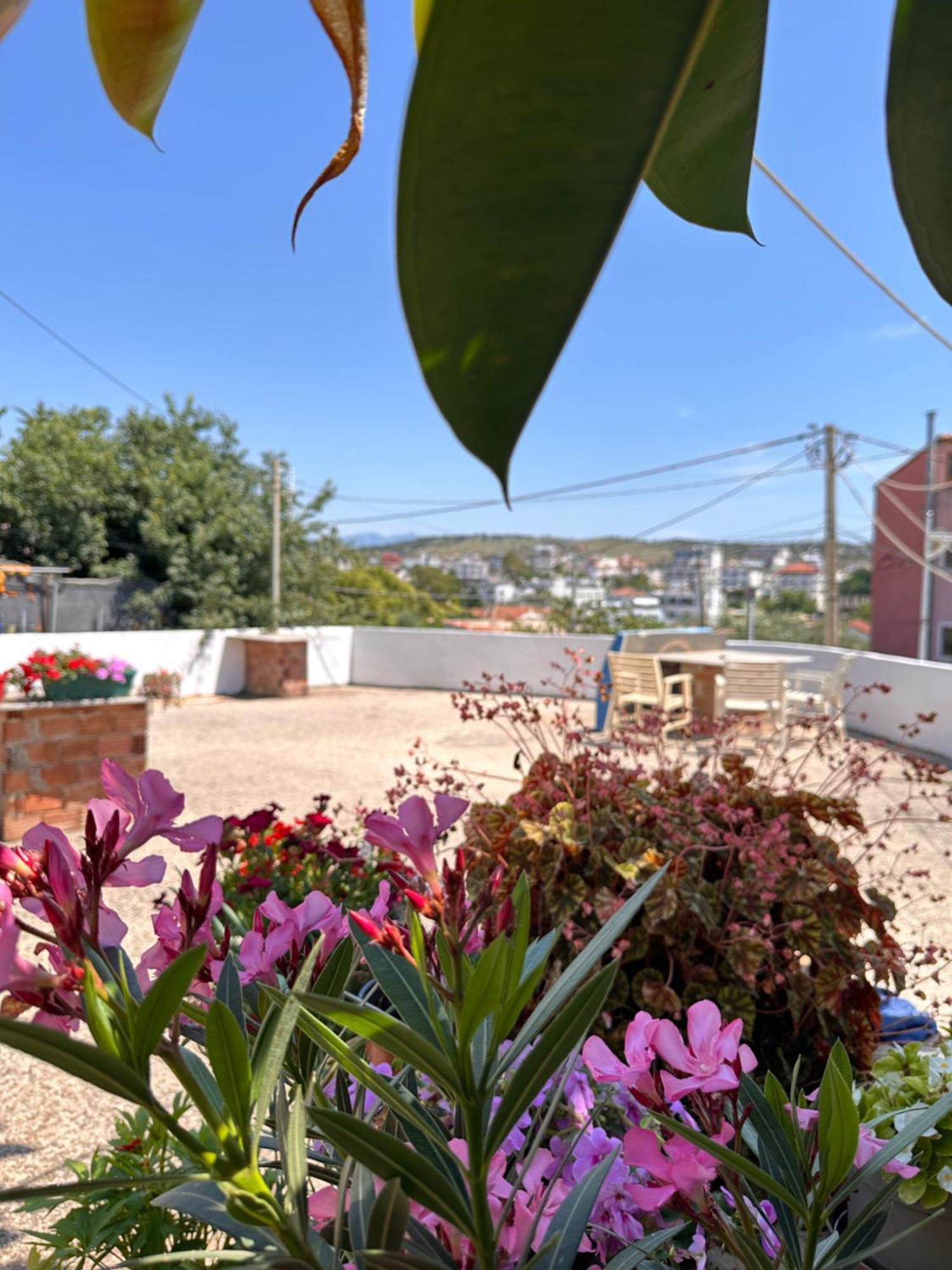 קסאמיל Albi'S Guesthouse מראה חיצוני תמונה