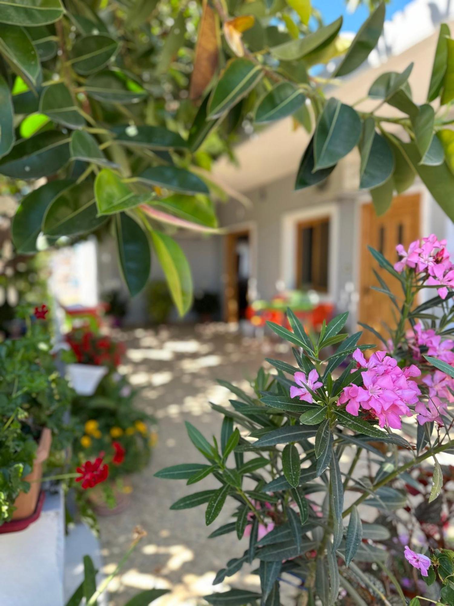 קסאמיל Albi'S Guesthouse מראה חיצוני תמונה