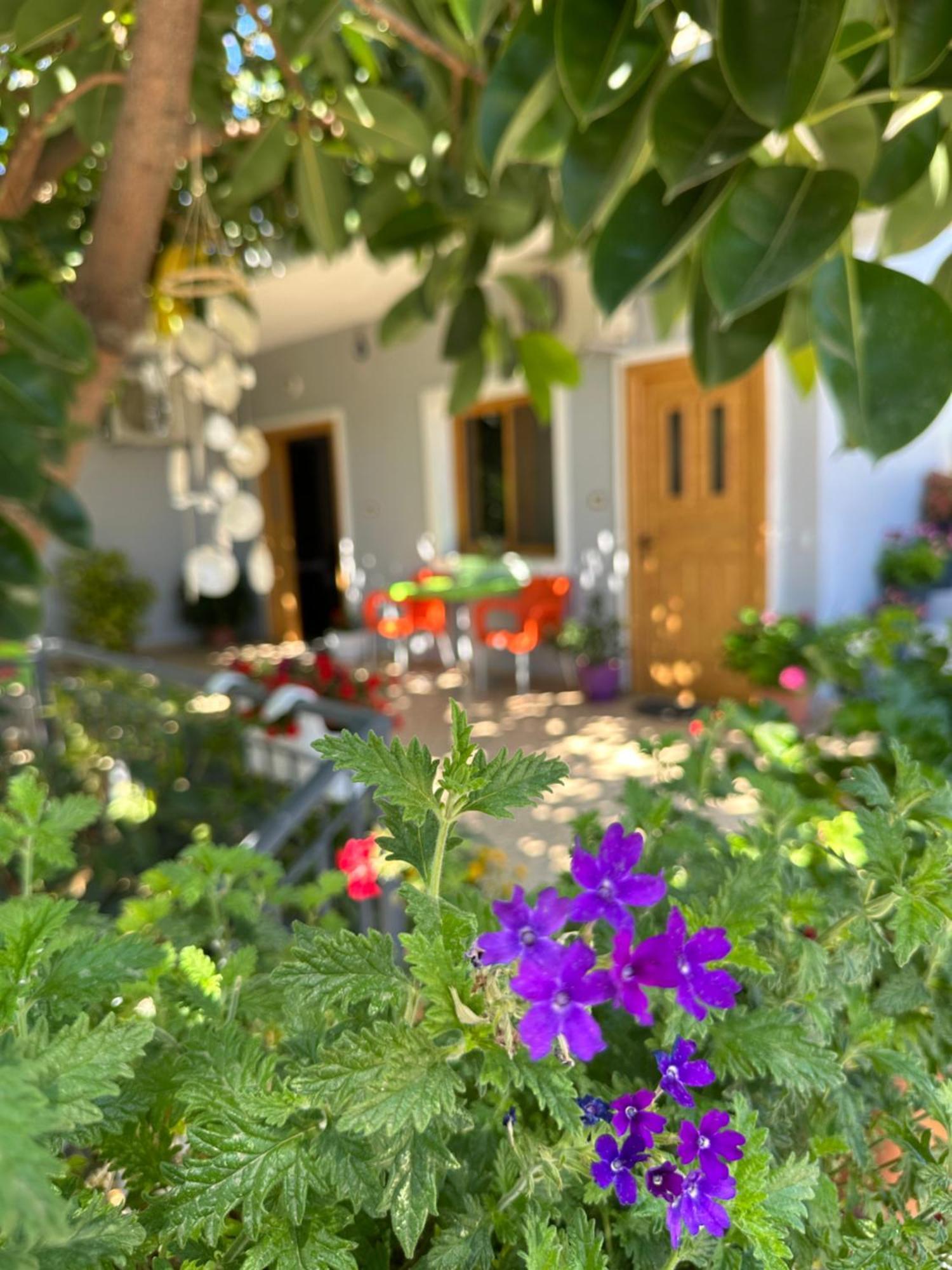 קסאמיל Albi'S Guesthouse מראה חיצוני תמונה