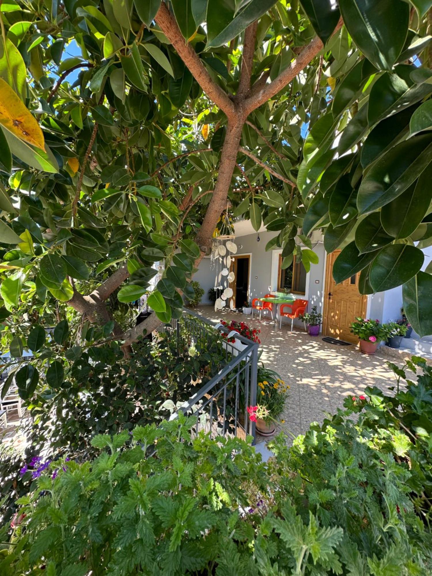 קסאמיל Albi'S Guesthouse מראה חיצוני תמונה